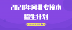 2020年河北专接本招生计划