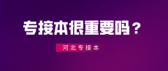 专接本很重要吗？