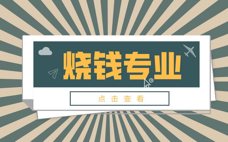 河北专接本里面最烧钱的专业有哪些？