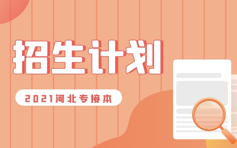 2021年河北专接本产品设计/服装与服饰设计/绘画/美术学联考专业招生计划