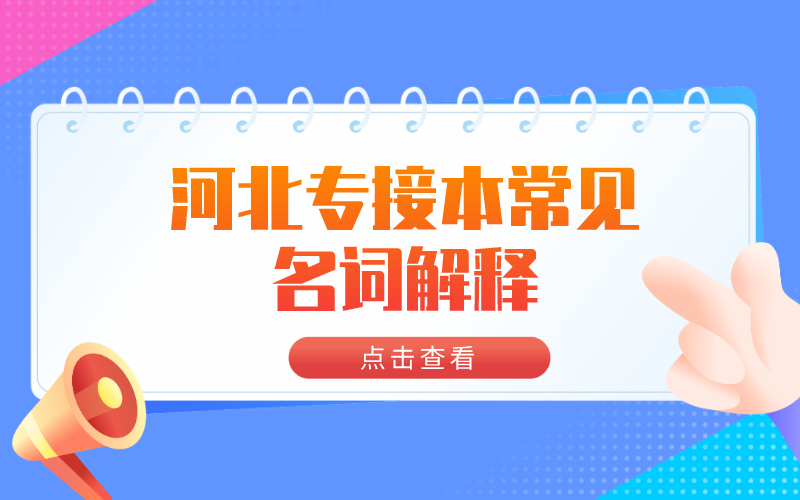 河北专接本政治常见名词解释