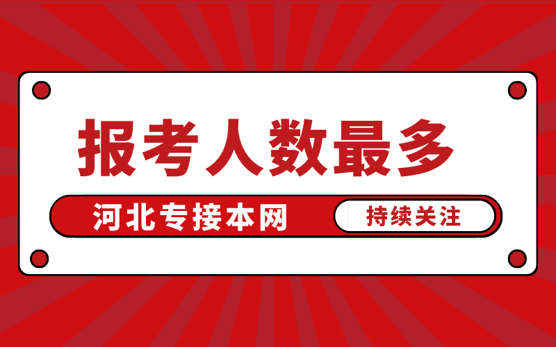 河北专接本报考人数最多的大类TOP2