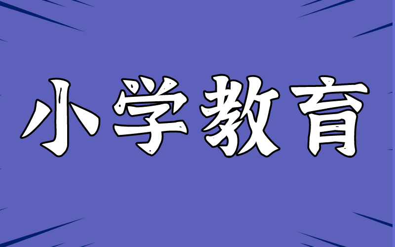 2021年河北专接本小学教育专业的就业前景怎么样？