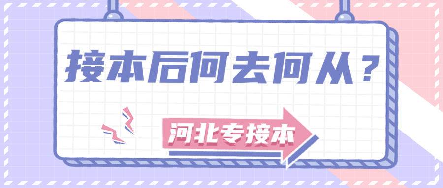 2021河北专接本接本后还能有哪些计划？