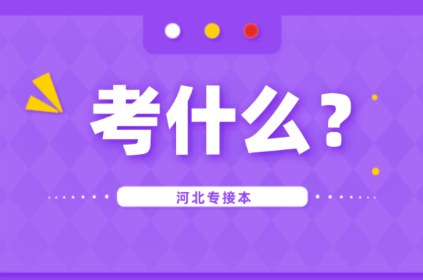 河北专接本书法学专业考什么？