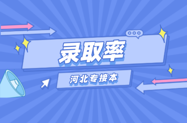 河北专接本体育教育及联考专业录取率是多少？