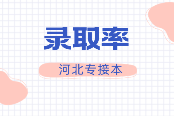 河北专接本英语及联考专业录取率是多少？