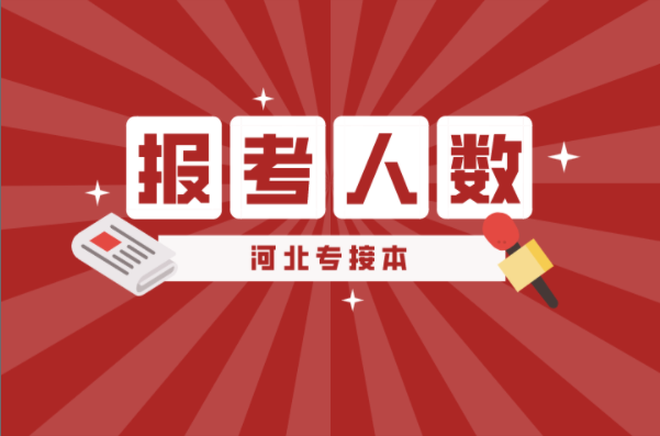河北专接本物流工程及联考专业报考人数有多少？