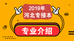 2019年河北专接本矿物加工工程专业招生计划人数