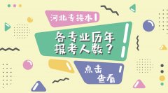 河北专接本历年考试人数是多少？