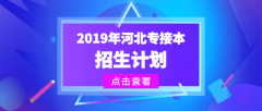 2019年河北专接本招生计划汇总（按专业划分）