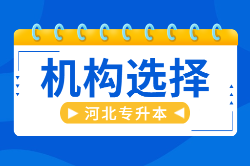 拜课网和佳鑫诺到底谁更好？